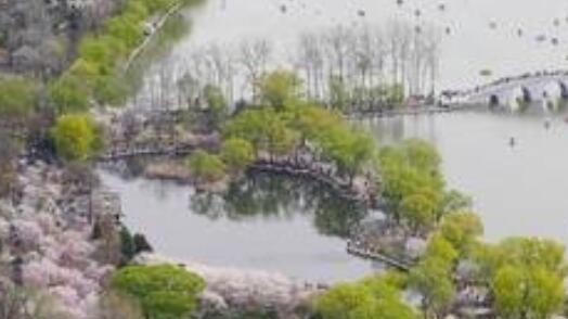 国庆期间的玉渊潭公园为市民奉献“公园里的奇幻世界”AR场景体验游