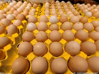 雞蛋消費進入淡季 多種因素或將促使雞蛋價格震蕩上行