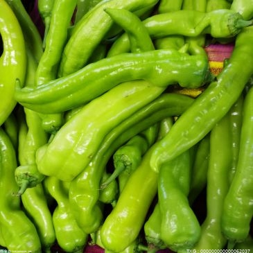 北京降雪未影响蔬菜上市量 部分蔬菜品种价格小幅上涨