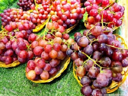 水果吃得少讓癌癥有機可乘 纖維素則有利于腸道益生菌群的穩定