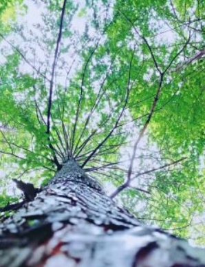 山东省公安机关开展“昆仑2022”专项行动