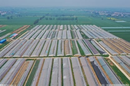 中国铁路北京局集团：京津冀地区共发运春耕化肥9.16万吨