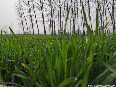 河北省创建农业创新驿站224个 促进农业高质量发展