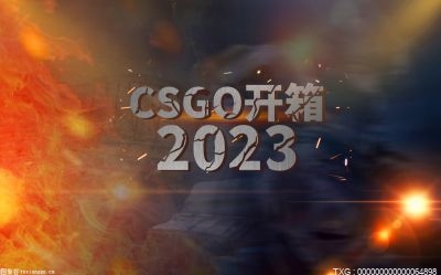  csgo不充钱能开箱子吗？CSGO开箱和买刀哪个划算？